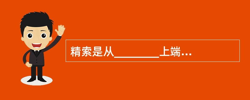 精索是从________上端至腹股沟管________之间的一对柔软的圆索状结构