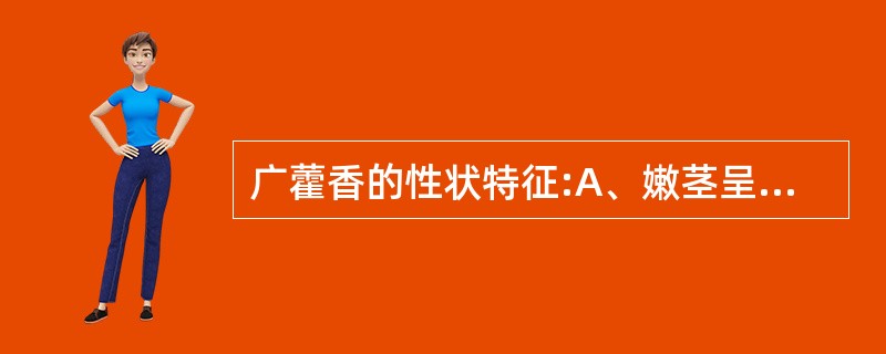 广藿香的性状特征:A、嫩茎呈钝方柱形,密被柔毛B、老茎近圆柱形C、叶对生,两面均