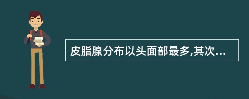 皮脂腺分布以头面部最多,其次为前胸和()。