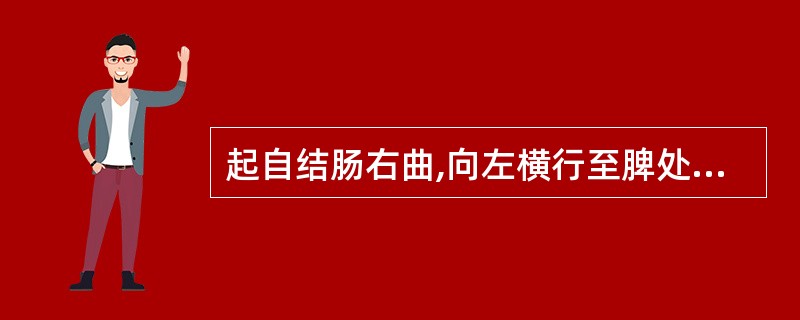 起自结肠右曲,向左横行至脾处再向下弯成结肠左曲,移行于降结肠。