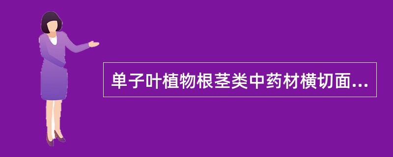 单子叶植物根茎类中药材横切面上通常可见()。A、形成层B、内皮层C、木栓形成层D