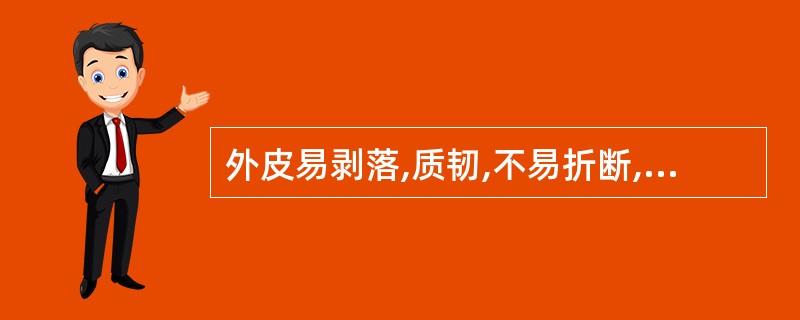 外皮易剥落,质韧,不易折断,中心有髓的是()。