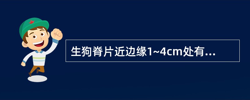 生狗脊片近边缘1~4cm处有1条隆起的棕黄色环纹是()。A、纤维层B、石细胞环带