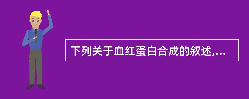 下列关于血红蛋白合成的叙述,正确的是