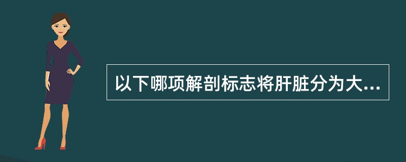 以下哪项解剖标志将肝脏分为大致相等的两半