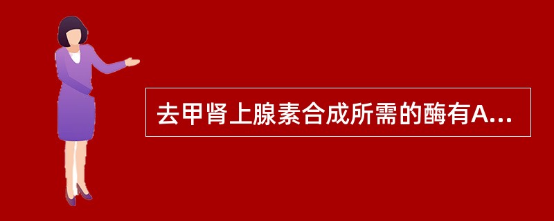 去甲肾上腺素合成所需的酶有A、酪氨酸羟化酶B、多巴脱羧酶C、多巴胺β羟化酶D、单