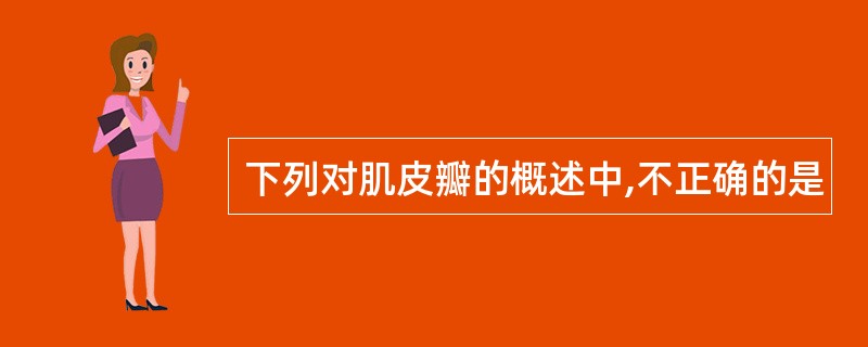 下列对肌皮瓣的概述中,不正确的是