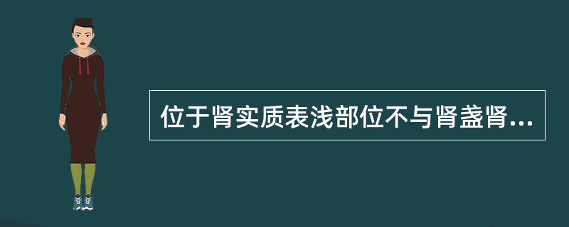 位于肾实质表浅部位不与肾盏肾盂相通的结核病灶,最佳的治疗方案是