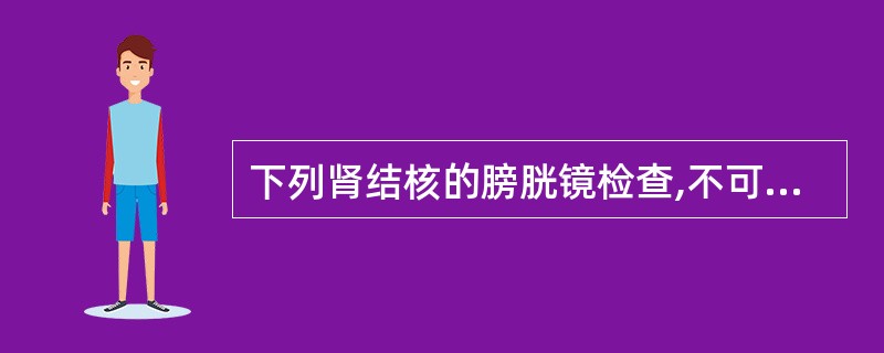 下列肾结核的膀胱镜检查,不可能出现的是