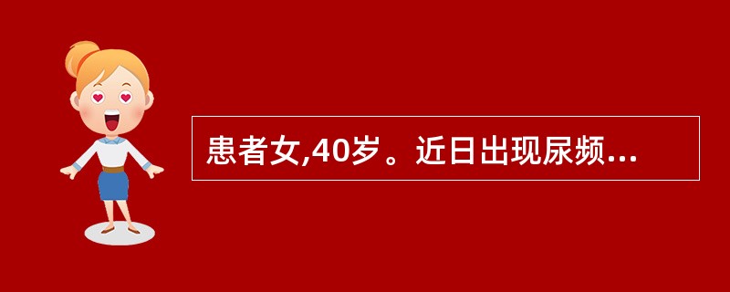 患者女,40岁。近日出现尿频、尿急伴腰痛。查体:BP150£¯90mmHg。双肾