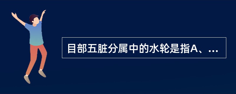 目部五脏分属中的水轮是指A、目眦B、白睛C、黑睛D、瞳仁E、眼睑