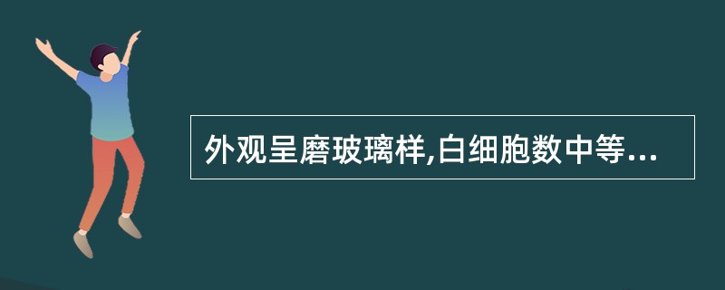 外观呈磨玻璃样,白细胞数中等度升高[ (50~500) ×10£¯L],以淋巴细