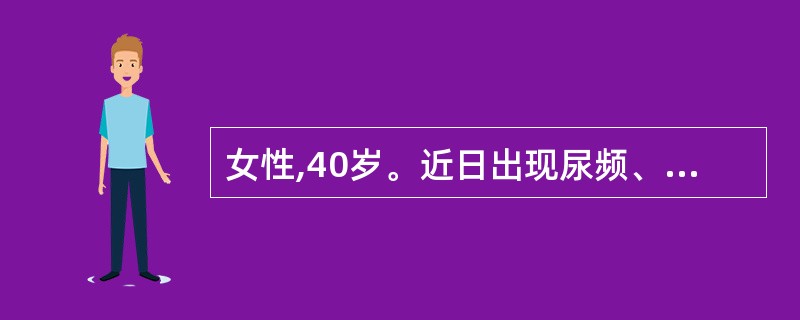 女性,40岁。近日出现尿频、尿急伴腰痛。查体:BP150£¯90mmHg。双肾区