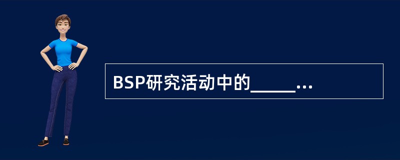 BSP研究活动中的______为在企业资源管理中所需要的、逻辑上相关的一组决策和