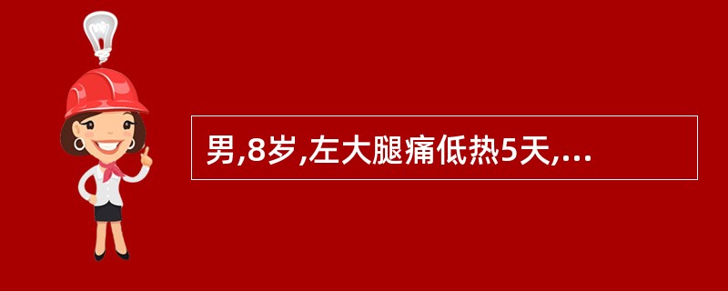 男,8岁,左大腿痛低热5天,疼痛进行性加重,X线片示左股骨干骨膜呈“葱皮”样改变