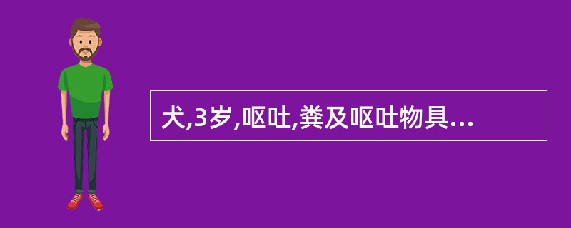 犬,3岁,呕吐,粪及呕吐物具绿色至蓝色黏液,呼吸增快,脉搏频数;几小时后体温下降