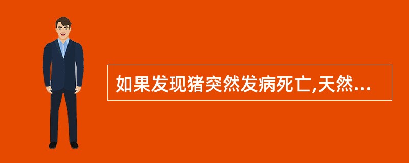 如果发现猪突然发病死亡,天然孔出血应,血液凝固不良,首先怀疑为( )。A、急性猪