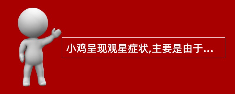 小鸡呈现观星症状,主要是由于( )A、维生素B缺乏B、维生素B缺乏C、维生素A缺