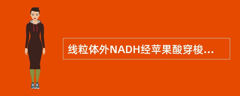 线粒体外NADH经苹果酸穿梭进入线粒体后氧化磷酸化,能得到的P£¯O比值约为()