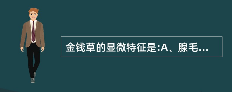 金钱草的显微特征是:A、腺毛B、分泌道C、气孔为不等式、不定式D、表皮细胞外被角