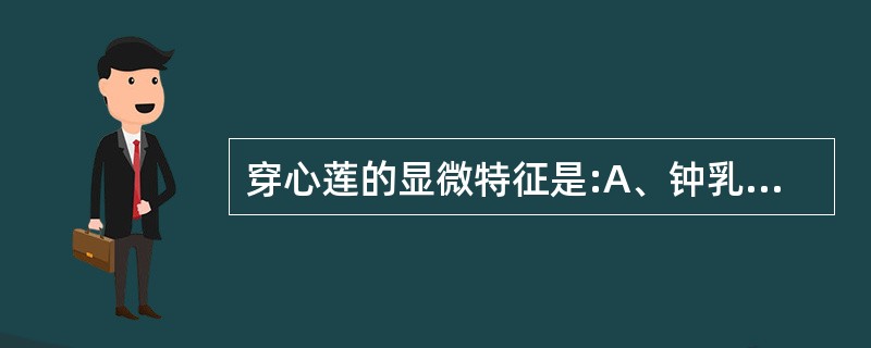 穿心莲的显微特征是:A、钟乳体B、气孔直轴式C、腺鳞D、非腺毛E、草酸钙晶体 -