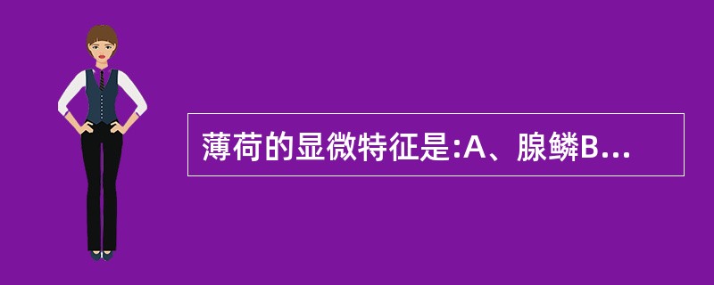 薄荷的显微特征是:A、腺鳞B、腺毛C、非腺毛D、直轴式气孔E、橙皮苷结晶