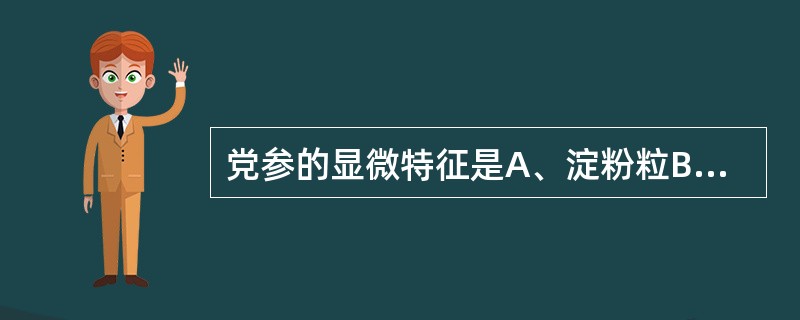 党参的显微特征是A、淀粉粒B、石细胞C、节状乳管D、网纹导管E、菊糖