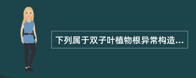 下列属于双子叶植物根异常构造的有A、多环性同心环排列的维管束B、韧皮部维管束C、