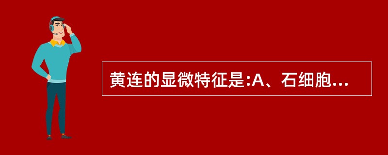 黄连的显微特征是:A、石细胞B、中柱鞘纤维C、木纤维D、鳞叶表皮细胞E、淀粉粒