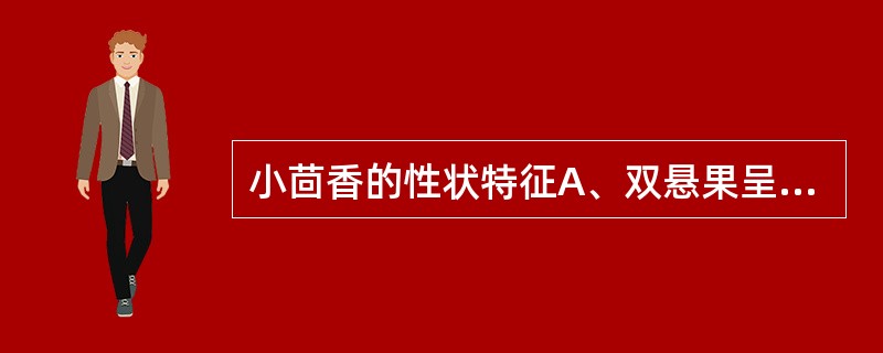 小茴香的性状特征A、双悬果呈长圆柱形B、表面黄绿色C、分果长卵圆形,背面5条纵棱