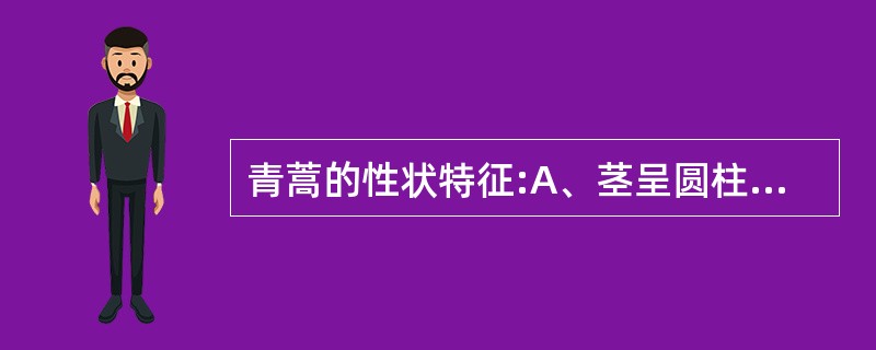 青蒿的性状特征:A、茎呈圆柱形B、表面黄绿色或棕绿色,具纵棱C、质略硬,易折断,