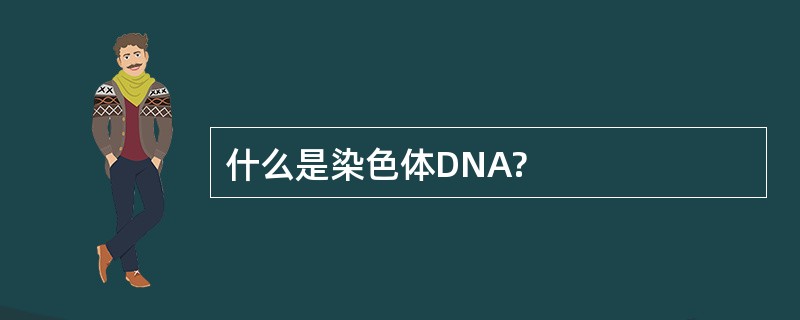 什么是染色体DNA?