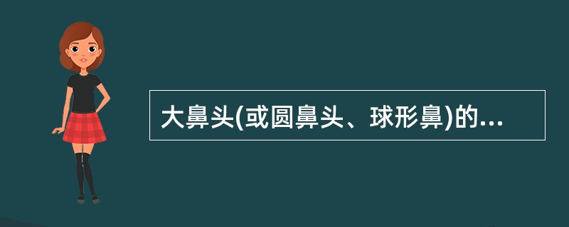 大鼻头(或圆鼻头、球形鼻)的重要形成原因是: