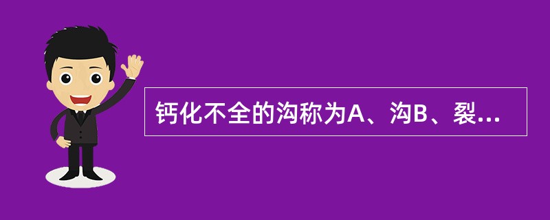 钙化不全的沟称为A、沟B、裂C、点隙D、发育沟E、窝