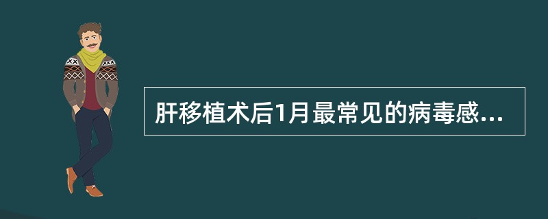 肝移植术后1月最常见的病毒感染是()A、单纯疱疹病毒B、腺病毒C、巨细胞病毒D、