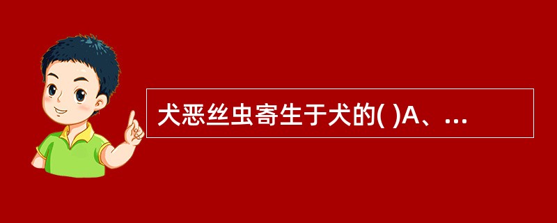 犬恶丝虫寄生于犬的( )A、胃B、心脏C、肝脏D、肺脏E、小肠