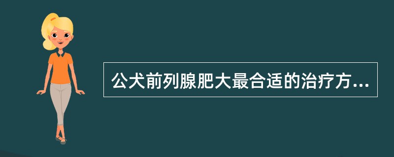 公犬前列腺肥大最合适的治疗方法是( )。A、去势B、雄激素治疗C、雌激素治疗D、