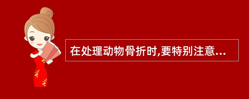 在处理动物骨折时,要特别注意保持骨折部分的相对固定,以预防挫伤血管而发生