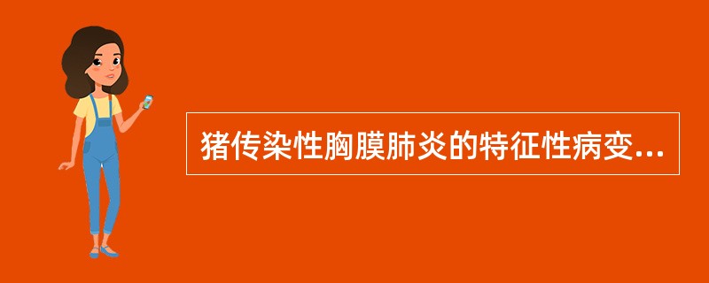 猪传染性胸膜肺炎的特征性病变为( )A、心包炎B、胸膜炎C、肠炎D、脑炎E、腹膜