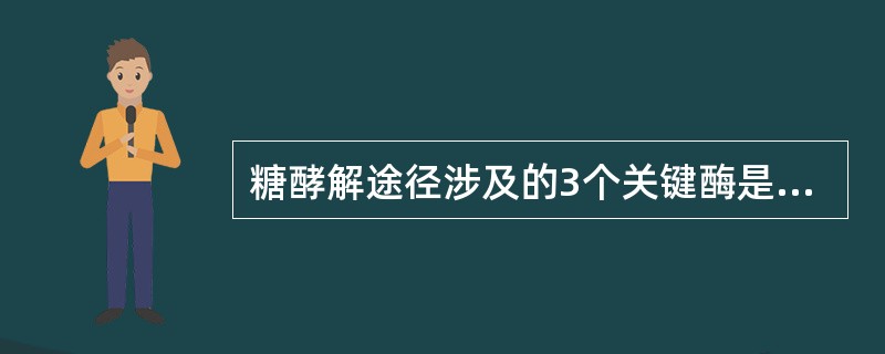 糖酵解途径涉及的3个关键酶是A、己糖激酶 磷酸果糖激酶 乳酸脱氢酶B、葡萄糖激酶