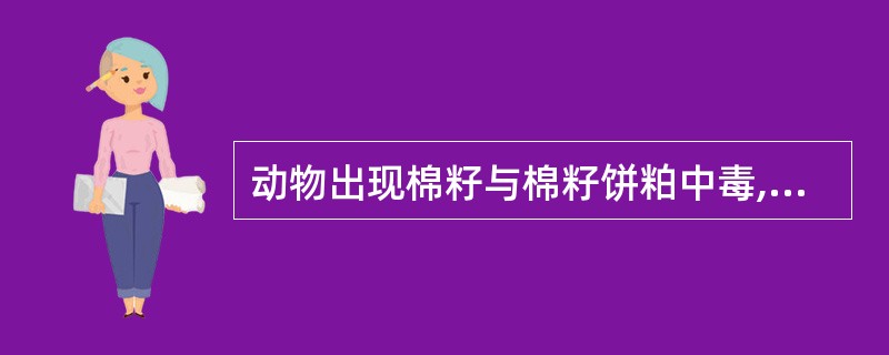 动物出现棉籽与棉籽饼粕中毒,是因为饲料中含有( )