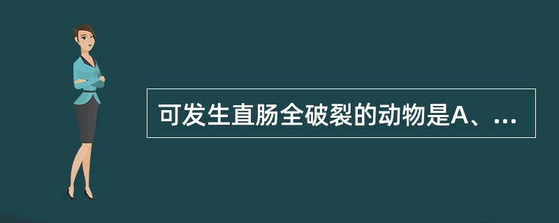 可发生直肠全破裂的动物是A、马B、牛C、犬D、羊E、猪