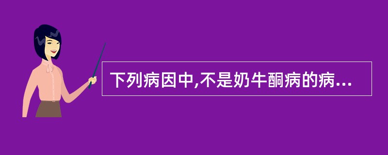 下列病因中,不是奶牛酮病的病因是( )A、饲草料单一、干草缺乏B、高产奶牛发病率