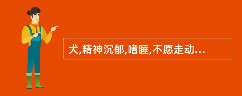 犬,精神沉郁,嗜睡,不愿走动。被毛粗乱、稀疏、无光泽;身上有异味;自尾部开始向前