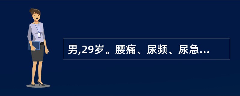 男,29岁。腰痛、尿频、尿急。BP160£¯105mmHg,尿蛋白(£«£«),