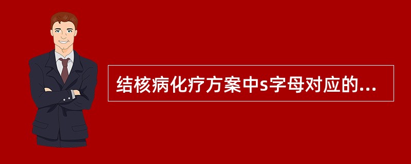 结核病化疗方案中s字母对应的药品是()