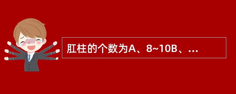 肛柱的个数为A、8~10B、9~12C、10~13D、12~15E、14~16