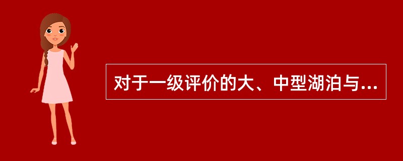 对于一级评价的大、中型湖泊与水库，当污水排放量<50000m3/d时，每（）布设