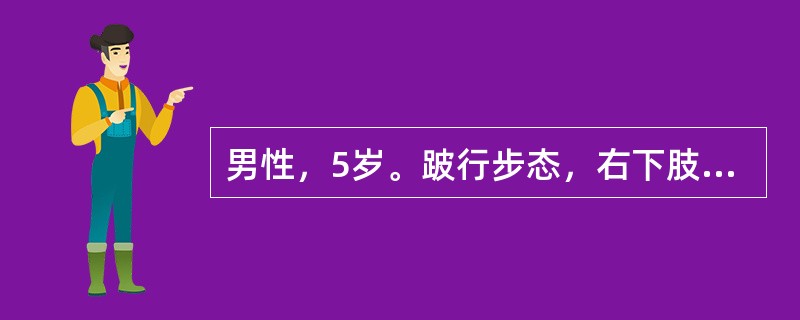 男性，5岁。跛行步态，右下肢肌肉萎缩，肢体测量右下肢短缩2cm，右髋屈曲、外展、