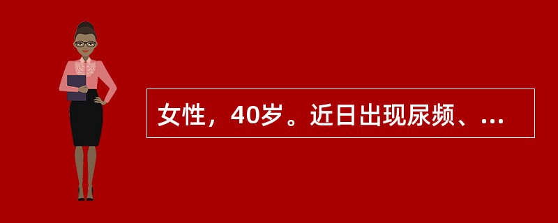 女性，40岁。近日出现尿频、尿急伴腰痛。查体：BP150/90mmHg。双肾区无